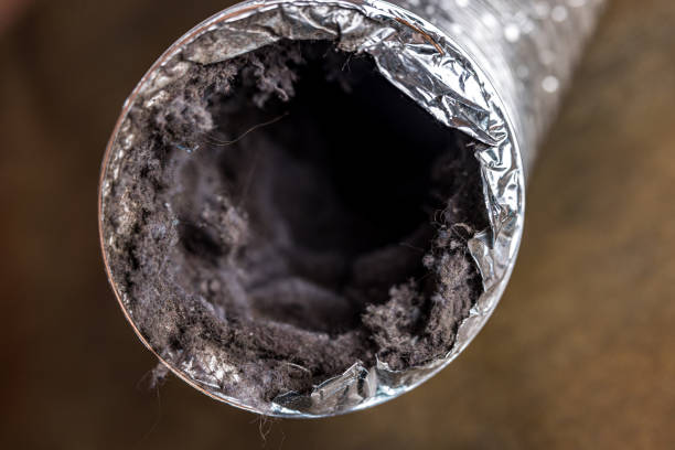 Best Air Vent Cleaning Services  in Monteagle, TN